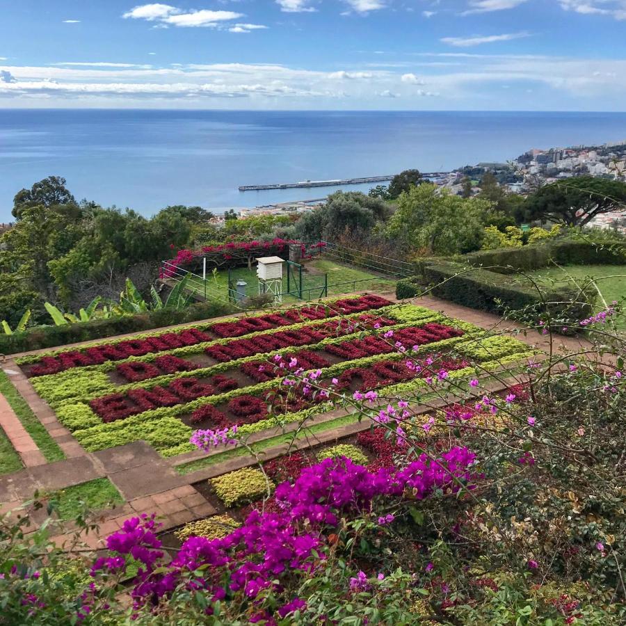 Sol & Mar Camara De Lobos Lägenhet Exteriör bild